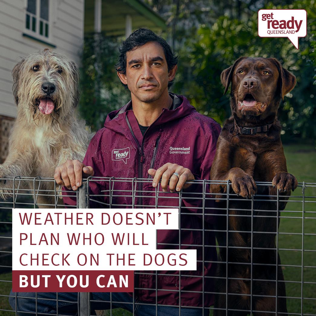 Weather doesn't plan but you can - dogs with Johnathan Thurston