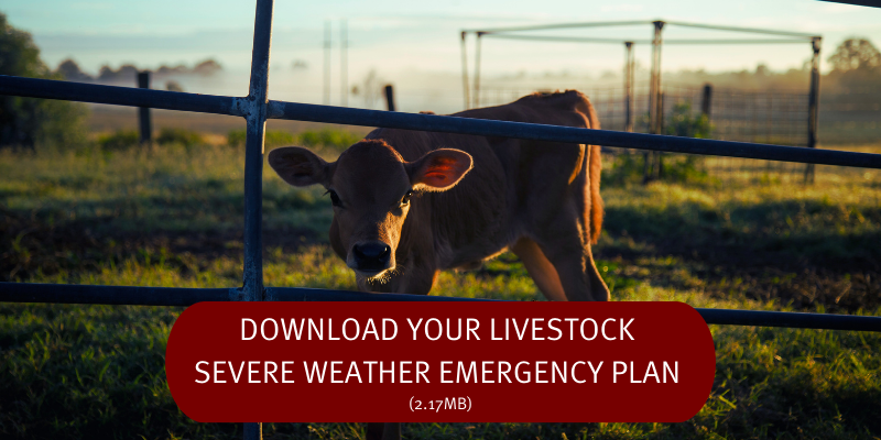 Livestock severe weather emergency plan