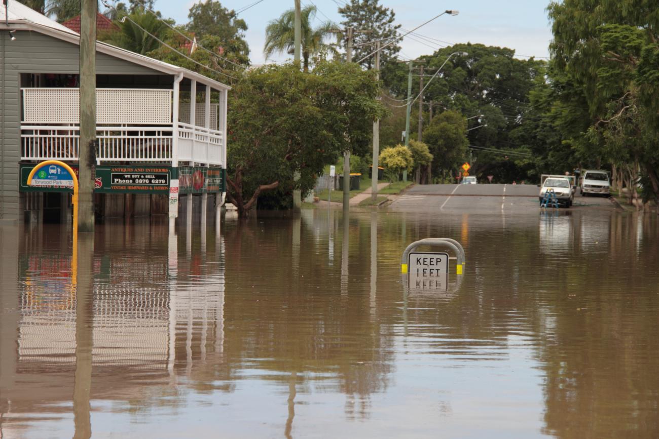 Rosalie flooding landscape image