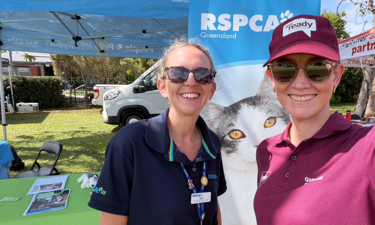 GRQWK 2025 Townsville RSPCA