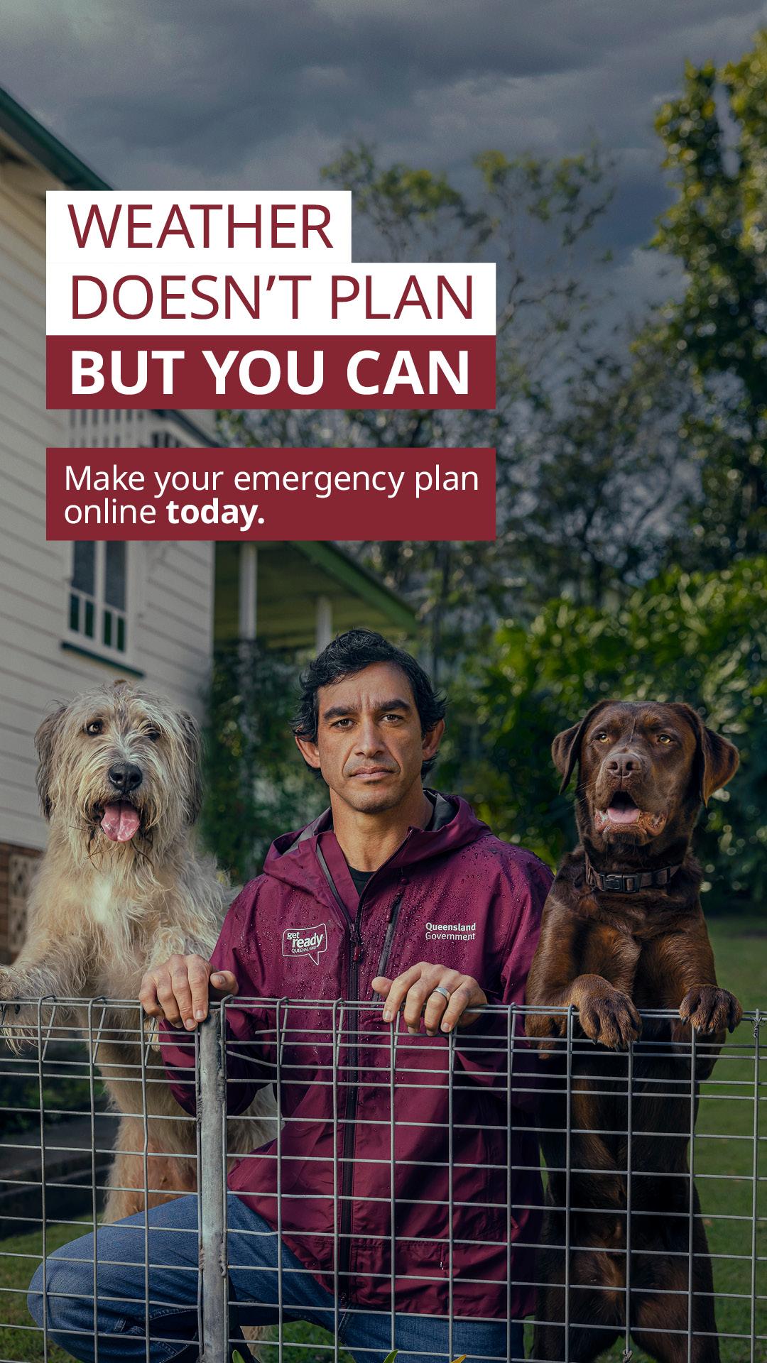 Man and dogs at gate