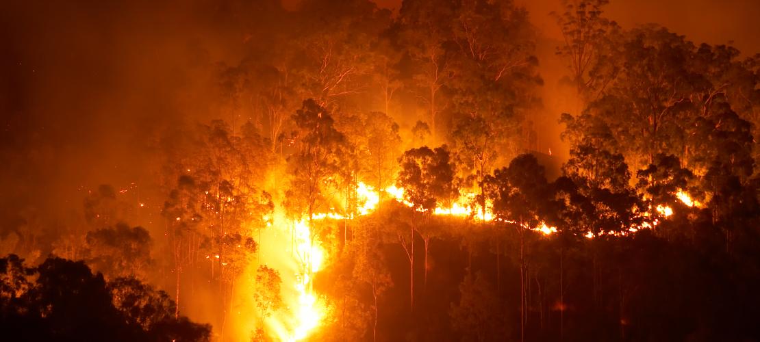 Bushfire burning