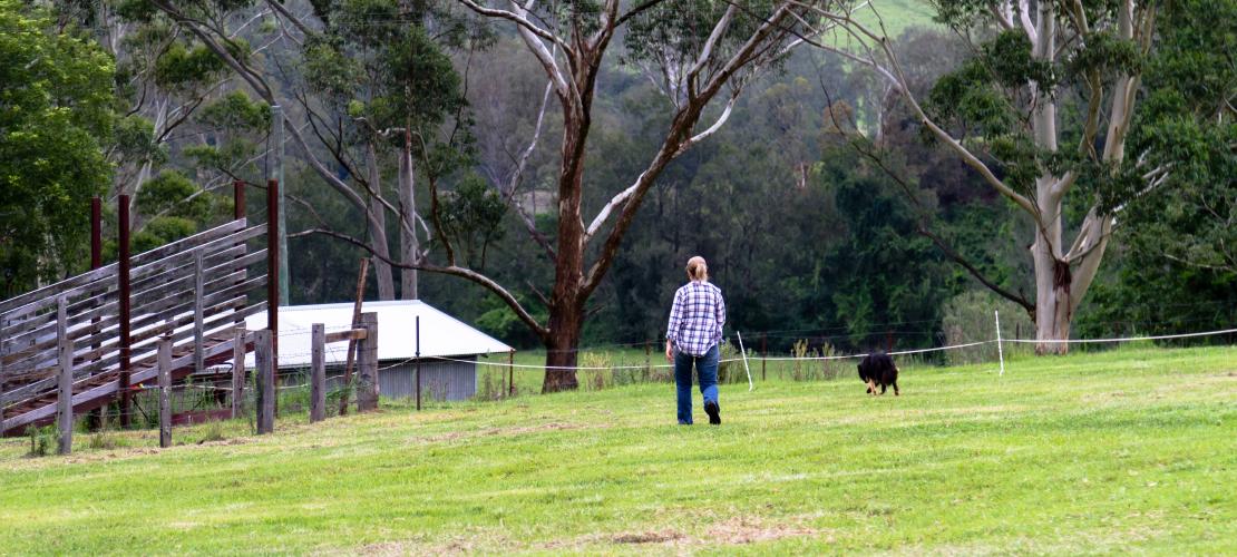 Farmer in paddock with dog