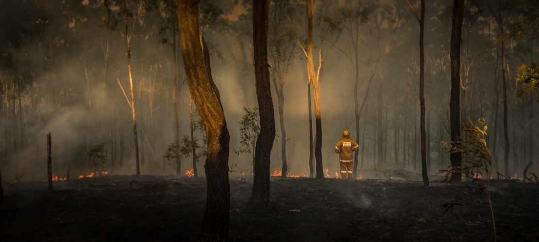 Hero Image for Bushfires