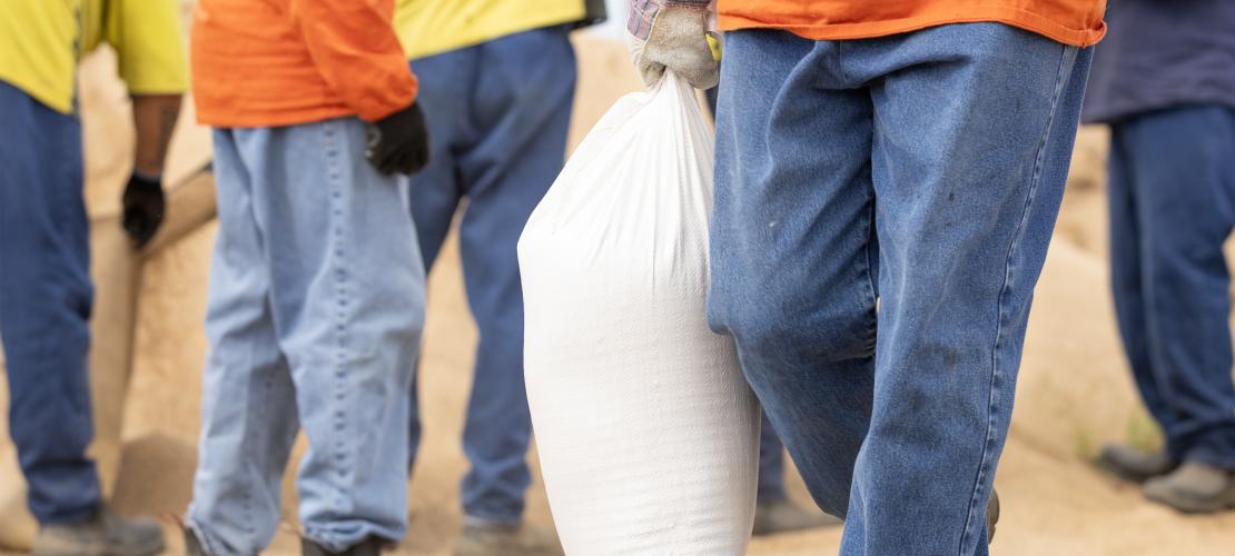 QCS Sandbagging 