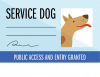 Service dog card icon