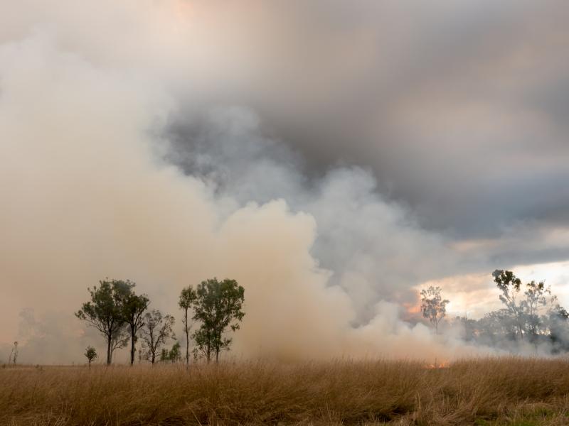 Paddock with smoke and fire