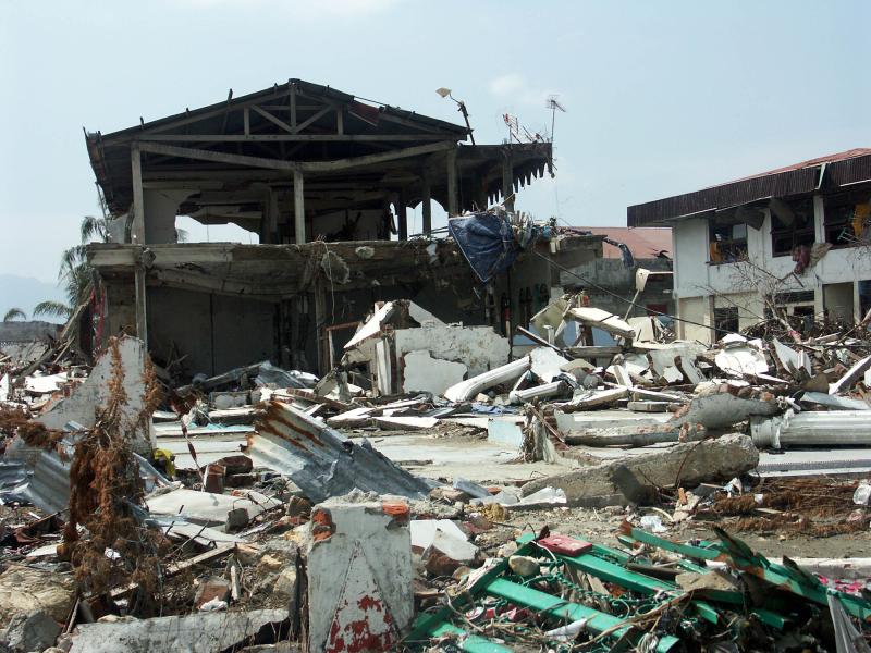 Buildings damaged by tsunami