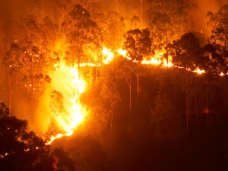 Fire line crossing through bushland in Queensland