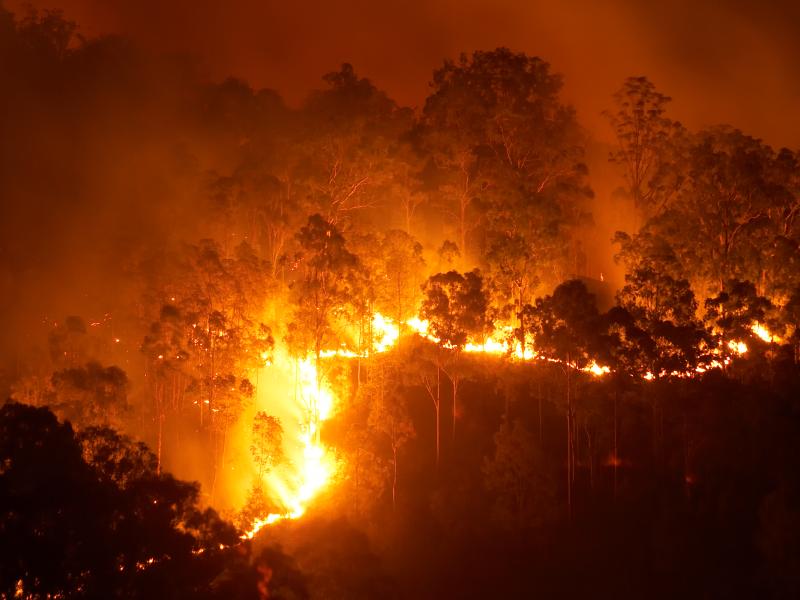 Fire line burning through Queensland bushland