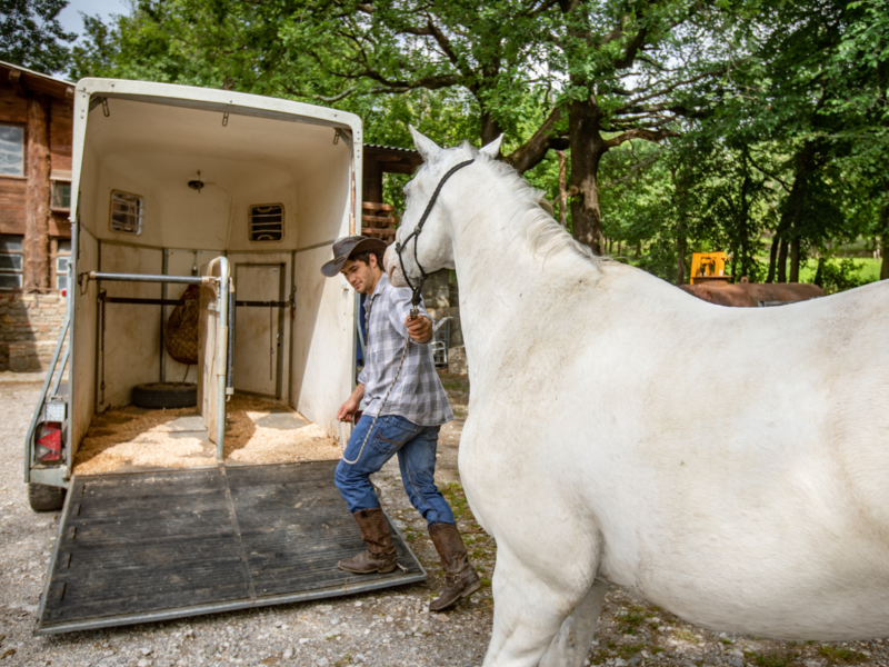 Practicing Evacuation - Float Horse