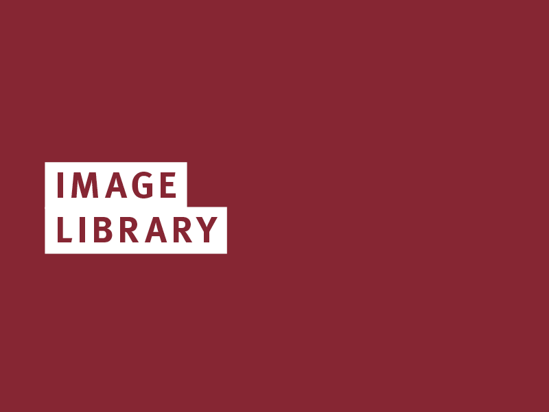 Image Library