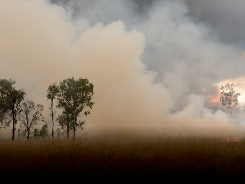 HERO IMAGE - BUSHFIRE