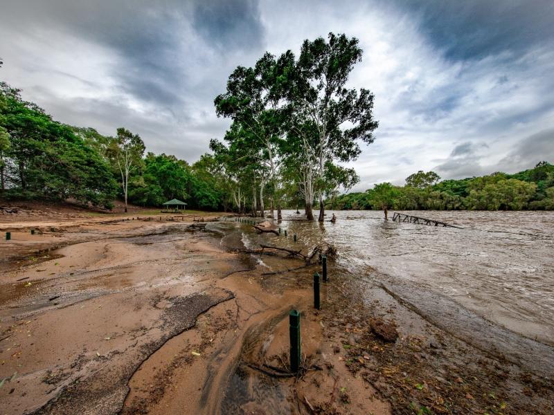 Townsville flood imagery landscape of tree and land