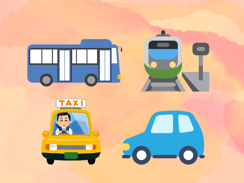 Disability Transport