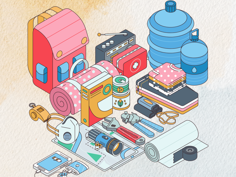 Pack an emergency kit