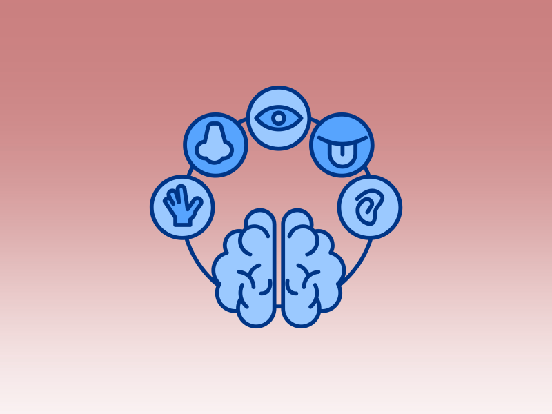 Sensory Processing issues