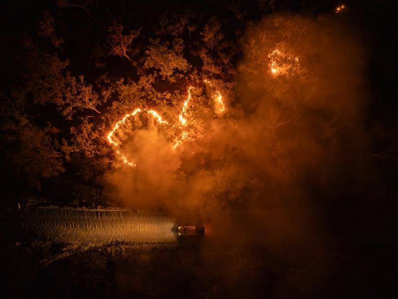 Firesticks